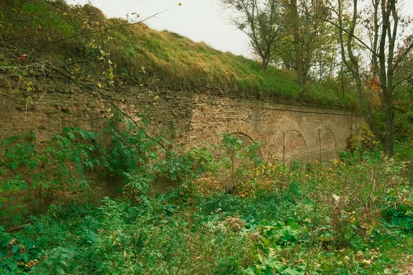 Παλιό Εγκαταλελειμμένο Σπίτι Κατάφυτο Γρασίδι Μια Αρχαία Εγκαταλελειμμένη Καλύβα Παράθυρα — Φωτογραφία Αρχείου