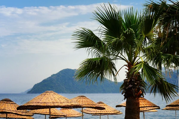 şemsiye ve hurma ile Deniz Manzaralı