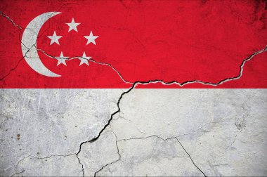 Duvarda çatlak bir Singapur bayrağı resmi. Arkaplan.