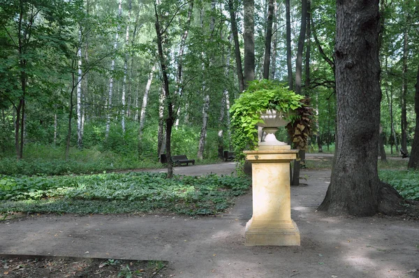 Vase Pierre Avec Des Fleurs Dans Parc Été Décor — Photo