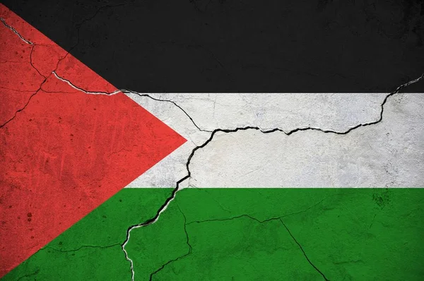 Immagine Della Bandiera Palestinese Muro Con Una Crepa Contesto — Foto Stock