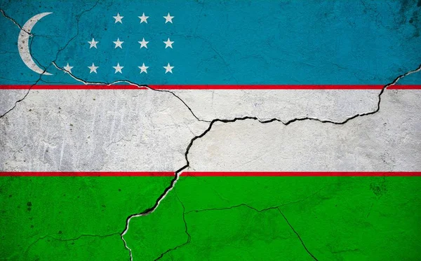 Obraz Flagi Uzbekistanu Ścianie Pęknięciem Kontekst — Zdjęcie stockowe