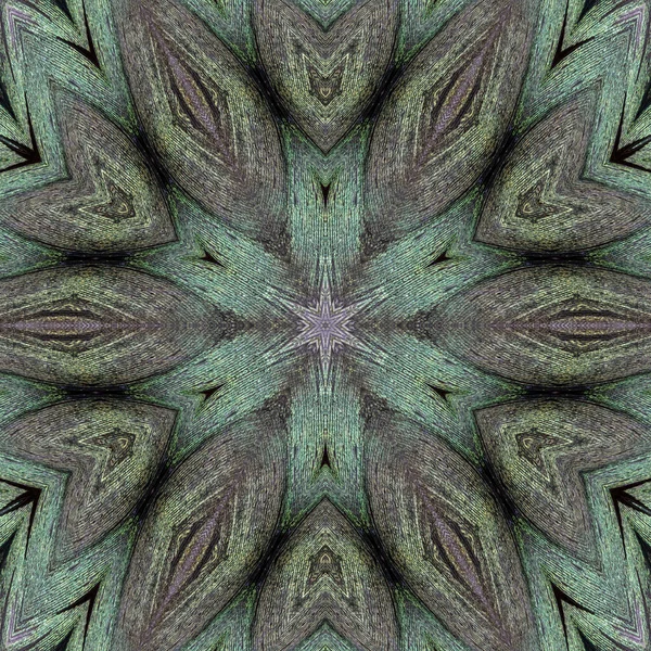 Abstract Symmetric Pattern Peacock Feathers Image Has Mirror Effect Kaleidoscopic — Stock Photo, Image