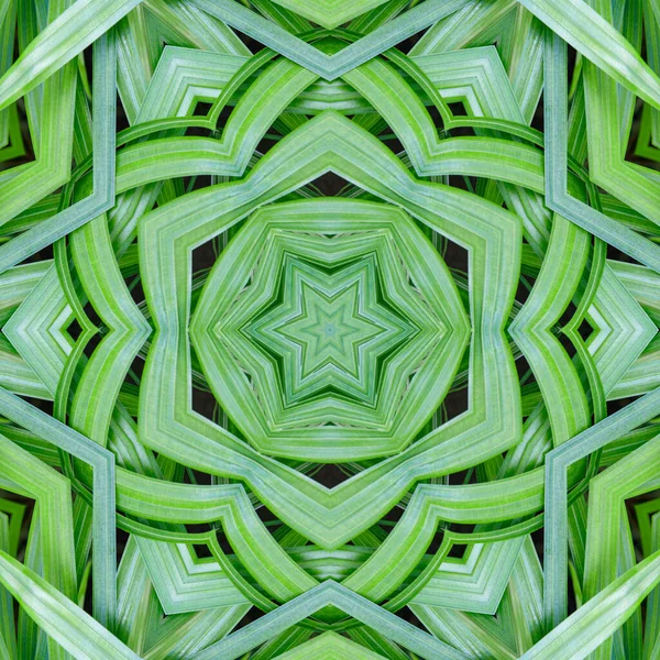 森のヤシの木の葉から緑の曼荼羅 天然物で作られた曼荼羅 自然の葉飾り 対称性 シームレス性 — ストック写真