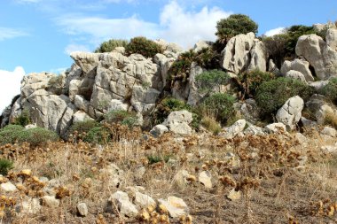 Vahşi dağ doğa parkı Monte Cofano Sicilya.