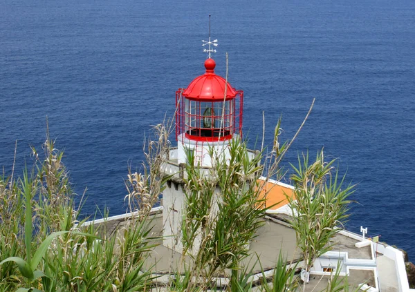Lighthouse guardian of the rocky coast of Sao Miguel Island.