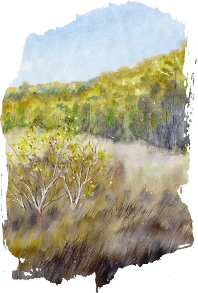 Kézzel rajzolt akvarell táj Nyár az erdőben — Stock Fotó