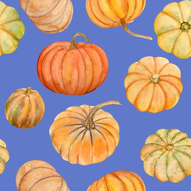 Suluboya balkabaklarının deseni pürüzsüzdür. Şükran günü kartları ya da posterleri için mükemmel.