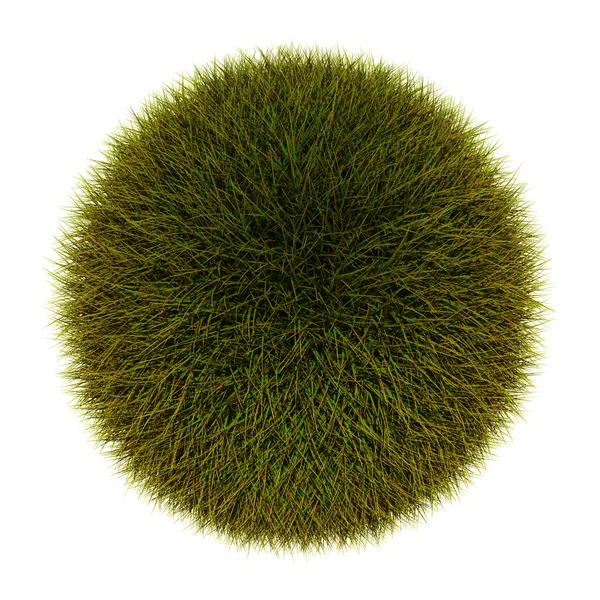 Gräs sfär isolerad på en vit bakgrund — Stockfoto