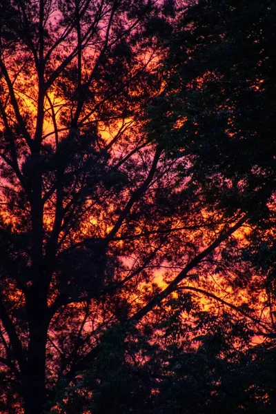 Pôr Sol Dramático Sobre Cidade Joanesburgo África Sul Depois Uma — Fotografia de Stock