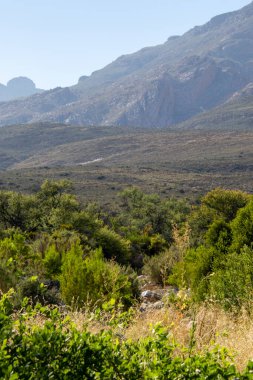 Güney Afrika 'nın Orta Karoo bölgesinde yeşil bitki örtüsü olan bir vadi.