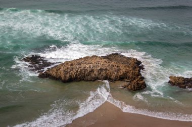Güney Afrika 'daki Bahçe Yolu' ndaki Robberg Doğa Rezervi 'nin kayalık ve sisli kıyı şeridi.