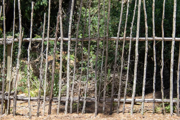 Kerítés Fákról Vágott Egyenes Ágakból Készült — Stock Fotó