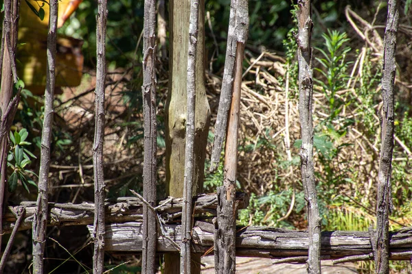 Ein Zaun Aus Geraden Ästen Die Von Bäumen Geschnitten Wurden — Stockfoto