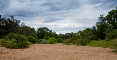 Afrika 'da kurumuş bir nehir yatağı
