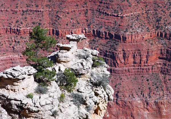 Grand Canyon from Above — Stock Photo, Image