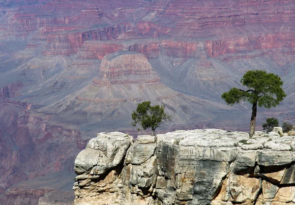 Grand Canyon from Above — Stock Photo, Image