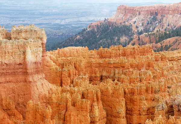 Bryce Canyon National Park, Utah, USA — Stock Photo, Image