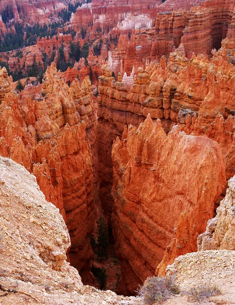 Bryce canyon parque nacional, utah, EE.UU. —  Fotos de Stock