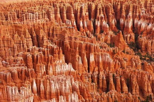Bryce Canyon National Park, Utah, USA — Stock Photo, Image