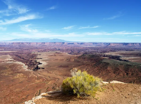 Grand canyon från ovan Stockfoto