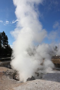 Yellowstone Ulusal Parkı, Wyoming 'deki gayzer