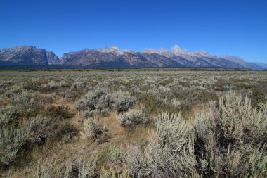 Grand tetons dağ manzarası