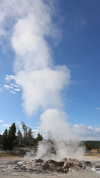 Géiser en el parque nacional de Yellowstone, wyoming —  Fotos de Stock