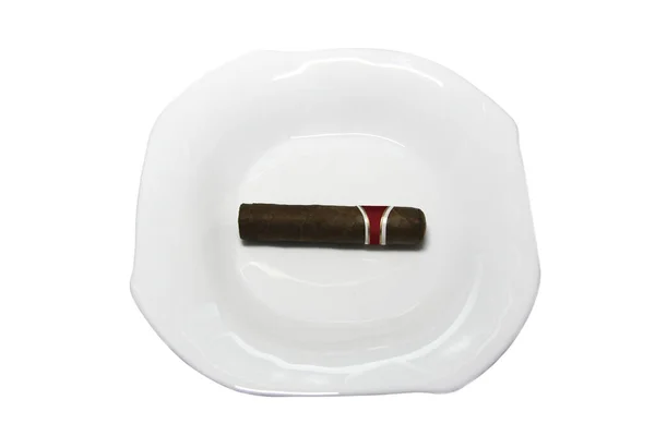 Petit Cigare Brun Sur Plaque Blanche Isolé Sur Fond Blanc — Photo
