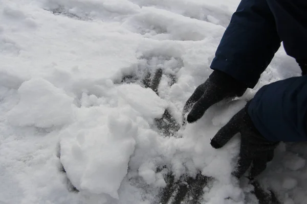 Den Första Snön Ligger Händerna Första Snön Tidig Vinter — Stockfoto