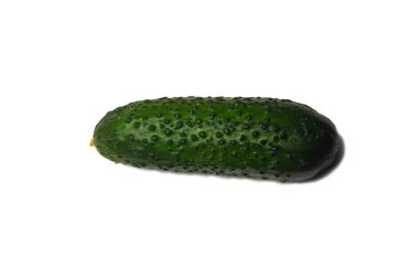 Isolated green cucumber on white background 