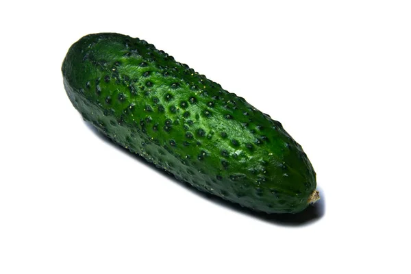 Isolated Green Cucumber White Background — 스톡 사진