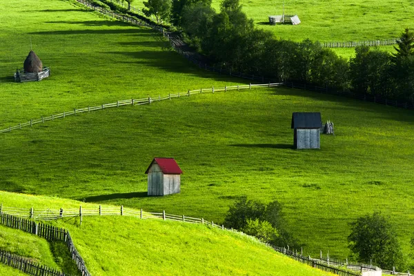 Fantastiska landskap i norr om Rumänien Stockbild