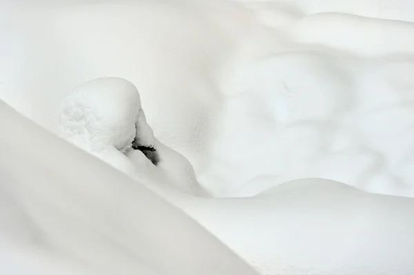 Cobertura de neve fresca no inverno — Fotografia de Stock