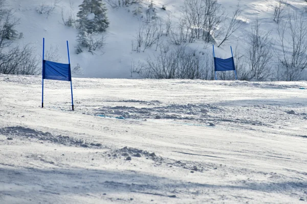 Portas de esqui com bandeiras vermelhas e azuis — Fotografia de Stock