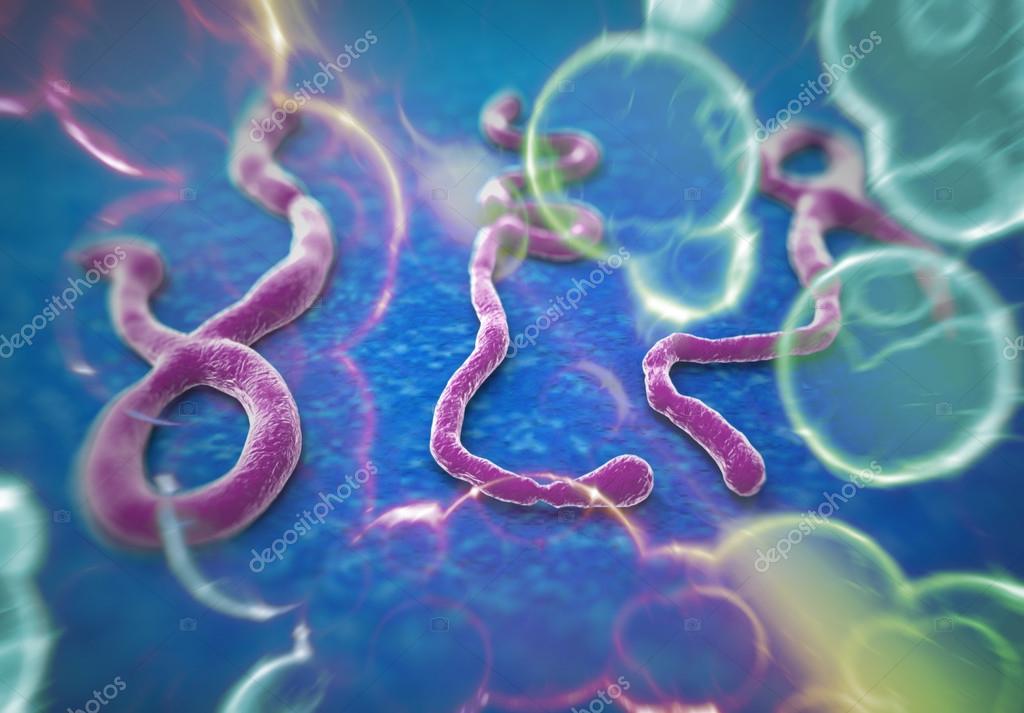 Ebola Stock Photos, Royalty Free Ebola Images | Depositphotos Ebola Stock Photos, Royalty Free Ebola Images | Depositphotos