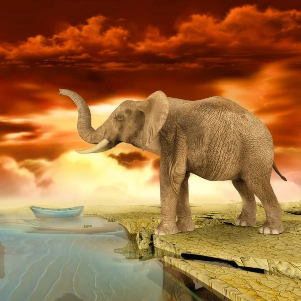 Olifant retro foto-effect — Stockfoto