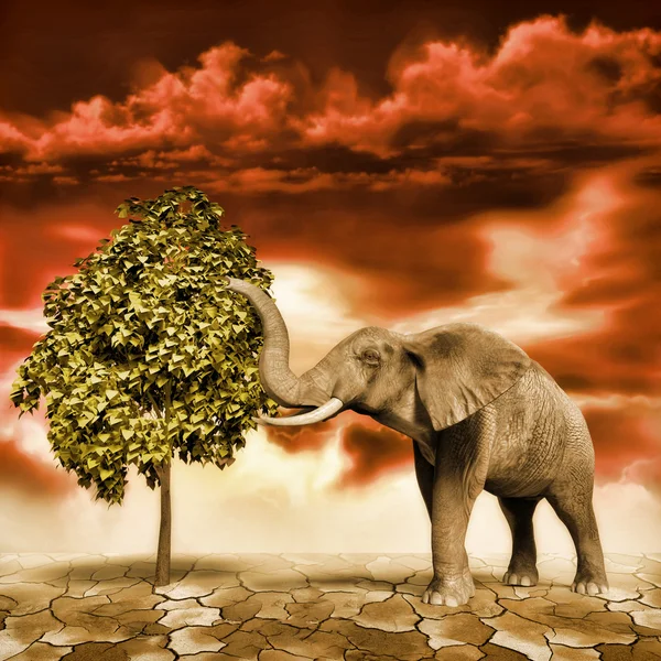 Olifant retro foto-effect — Stockfoto