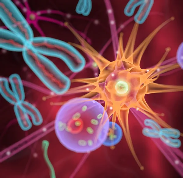 Moleküle Zellen Chromosomen — Stockfoto