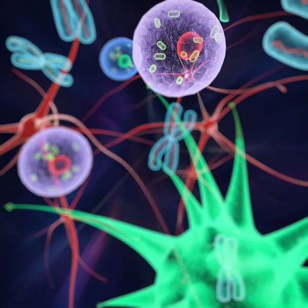 Molécules Cellules Chromosomes — Photo