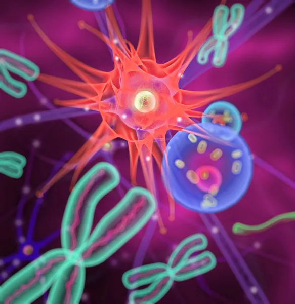 Molécules Cellules Chromosomes — Photo