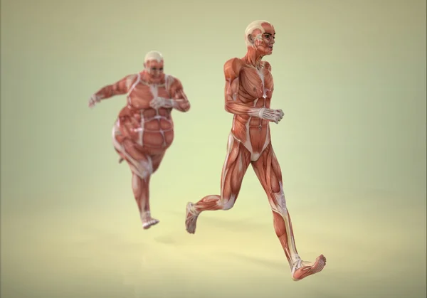 Der menschliche Körper läuft — Stockfoto