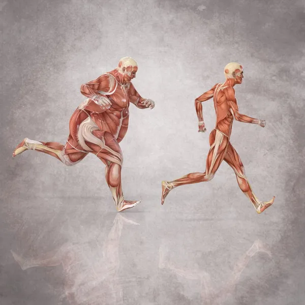 Der menschliche Körper läuft — Stockfoto