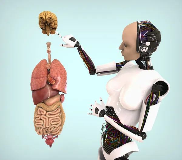 人形机器人的与人体解剖学 — 图库照片