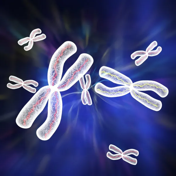 Хромосомы x — стоковое фото
