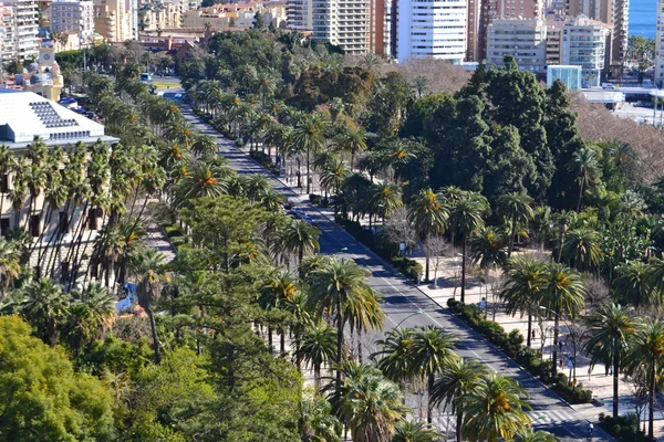 Malaga straat — Stockfoto