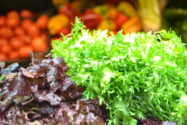 Зелений і червоний салат — стокове фото