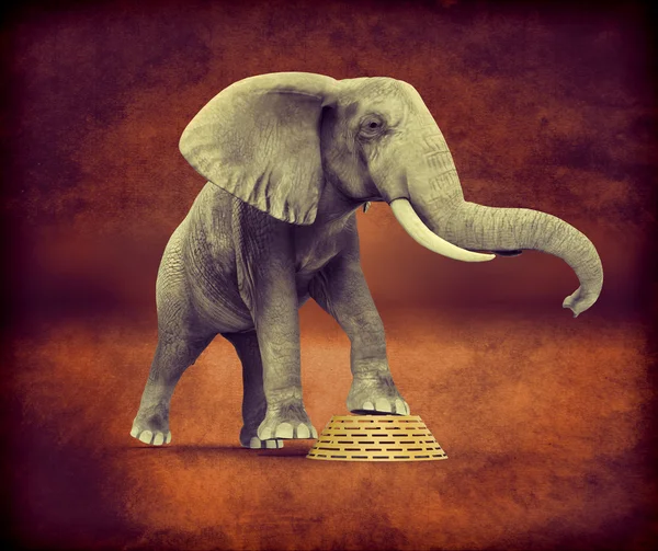 Efeito retrô do elefante — Fotografia de Stock