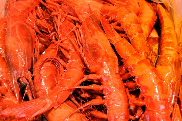 Crevettes — Photo