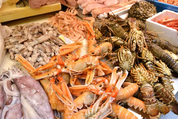 Fresh Crayfish — Stock Photo, Image
